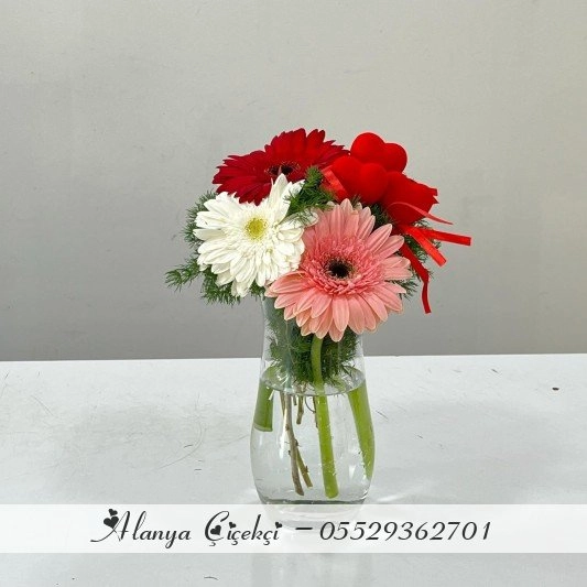 Canlı Gerbera Kalp Aranjmanı
