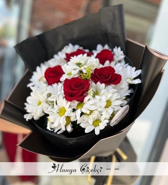 Kırmızı Gül Papatya