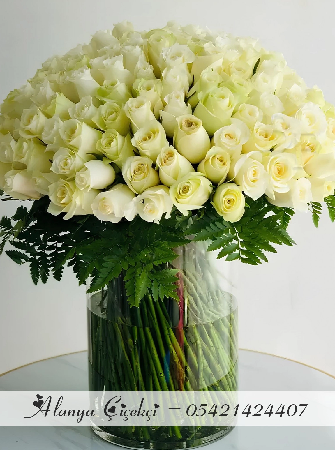 101 White Roses in Vase