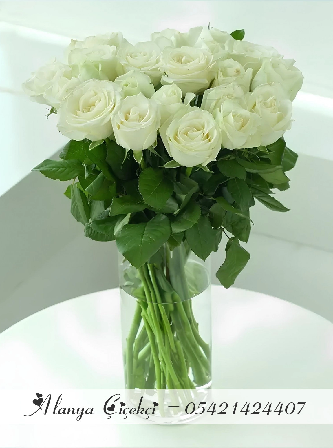 15 White Roses in Vase