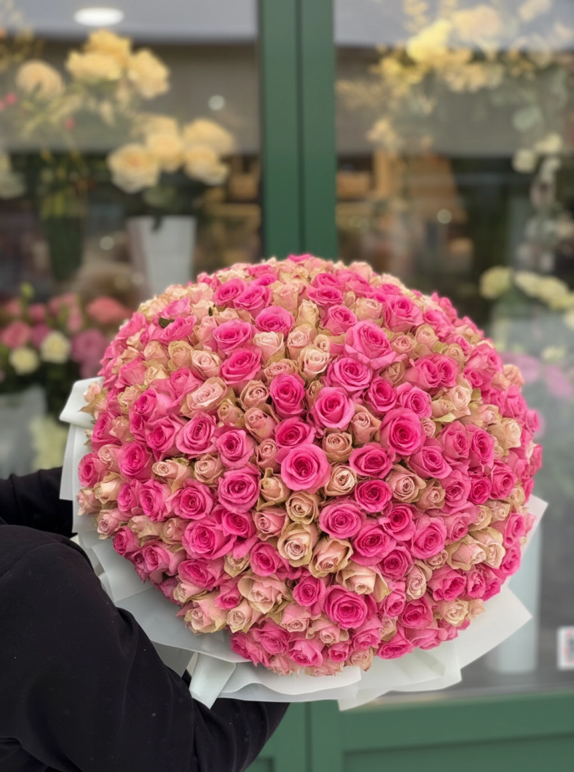Lumi 301 Royal Roses