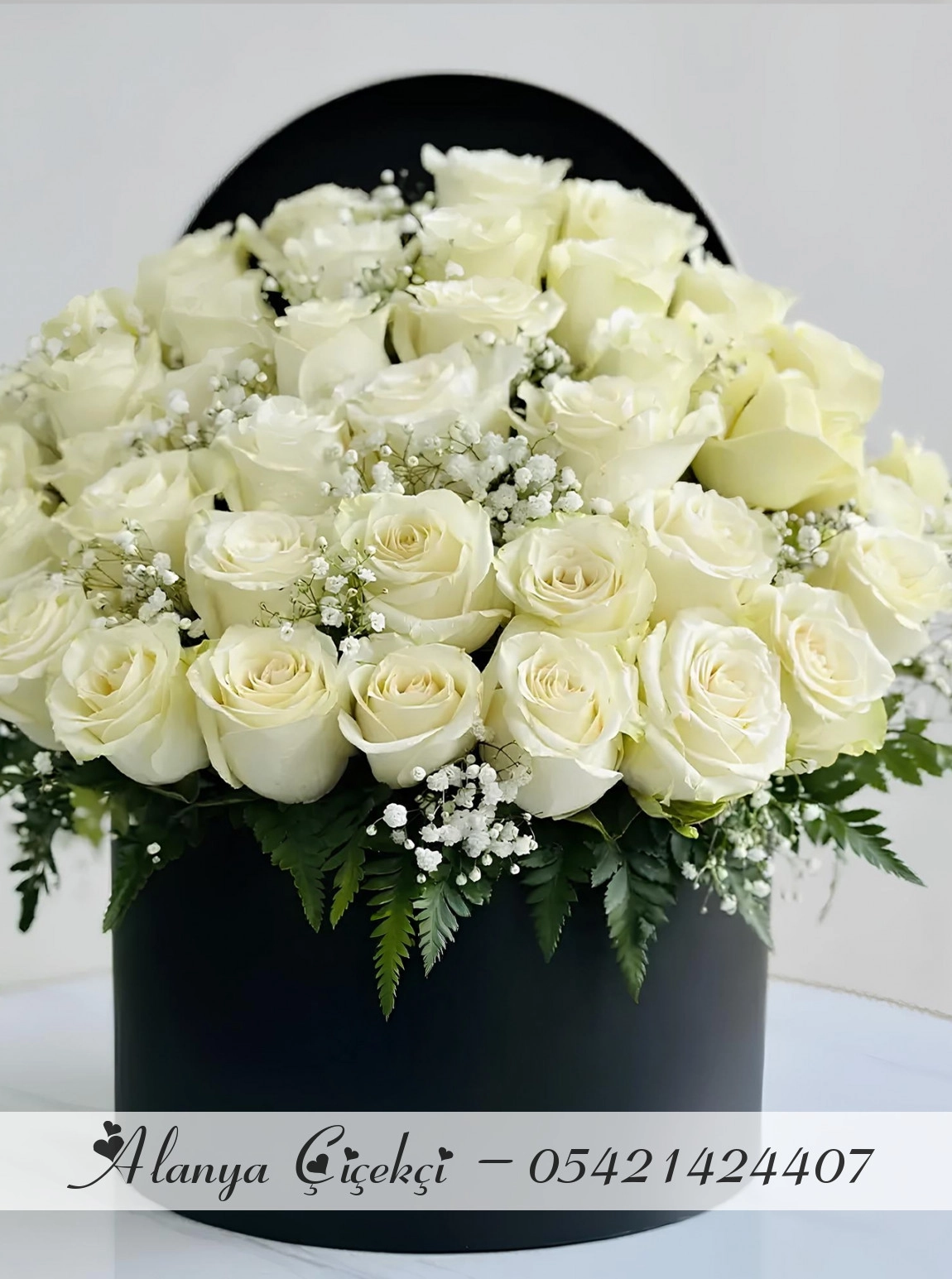 41 White Roses in a Box