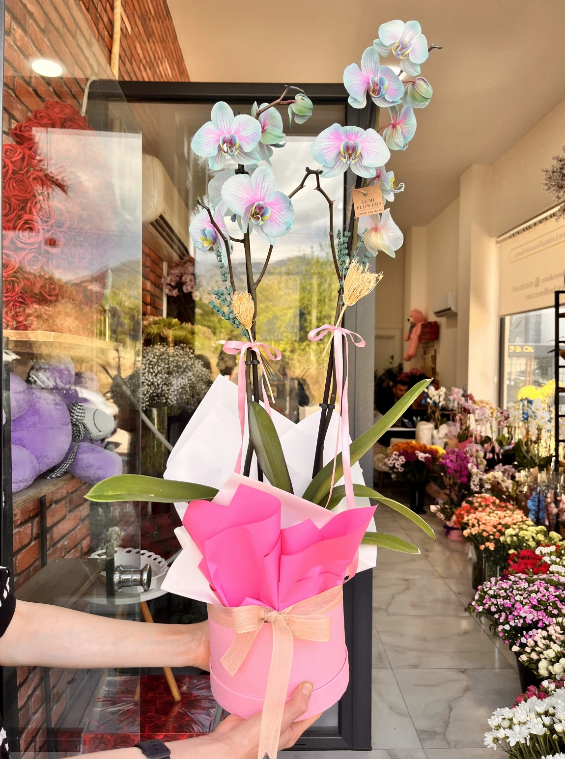 Lumi Angel Orchid Box