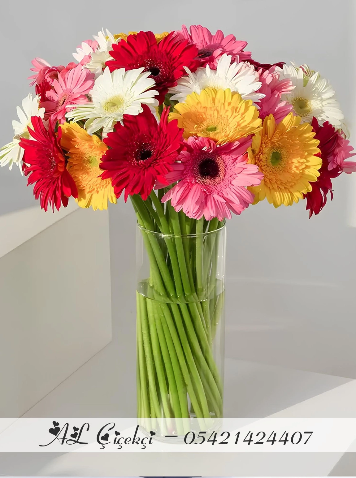Colorful Gerberas in Vase