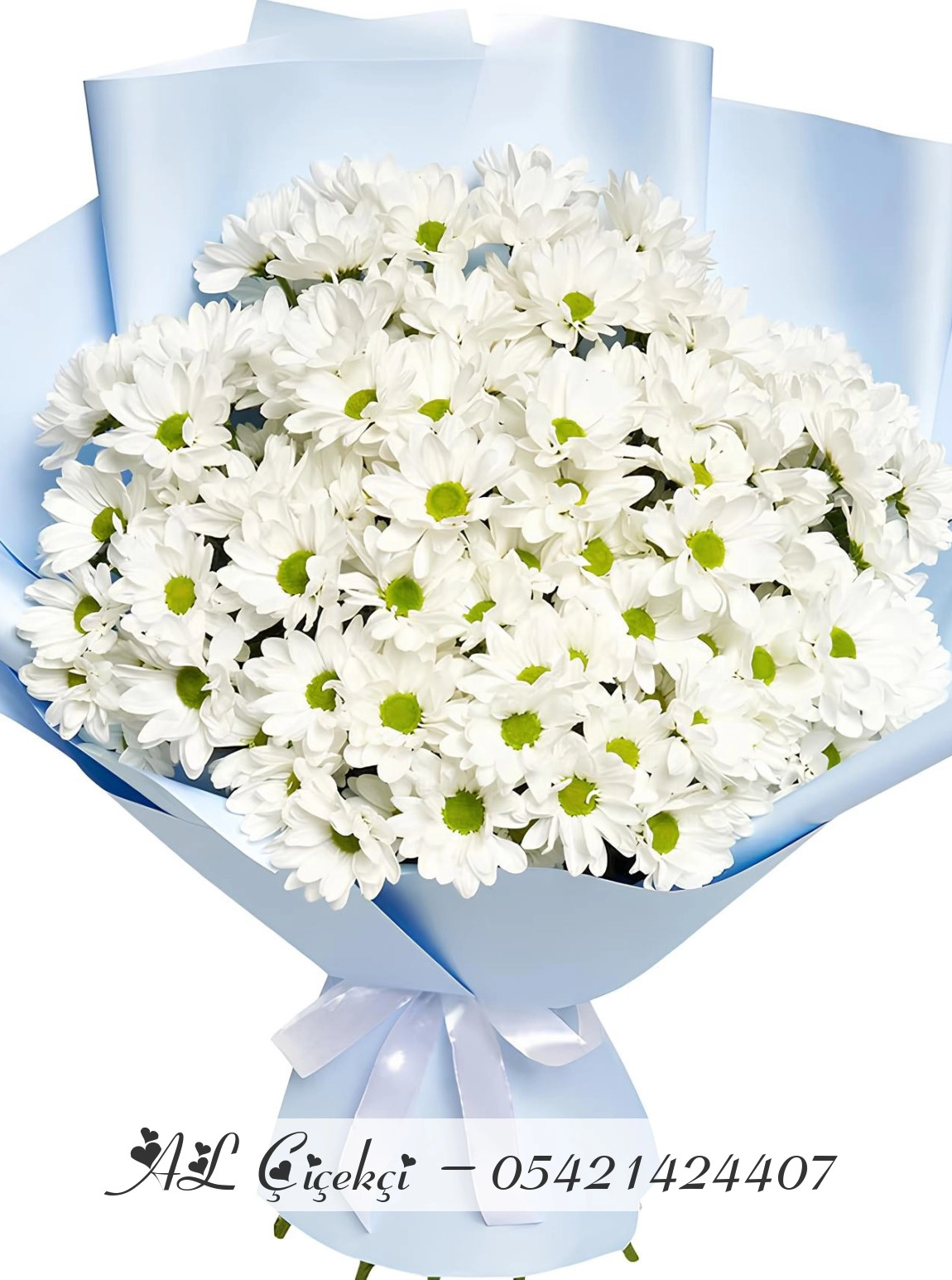 Lumi Daisy Bouquet
