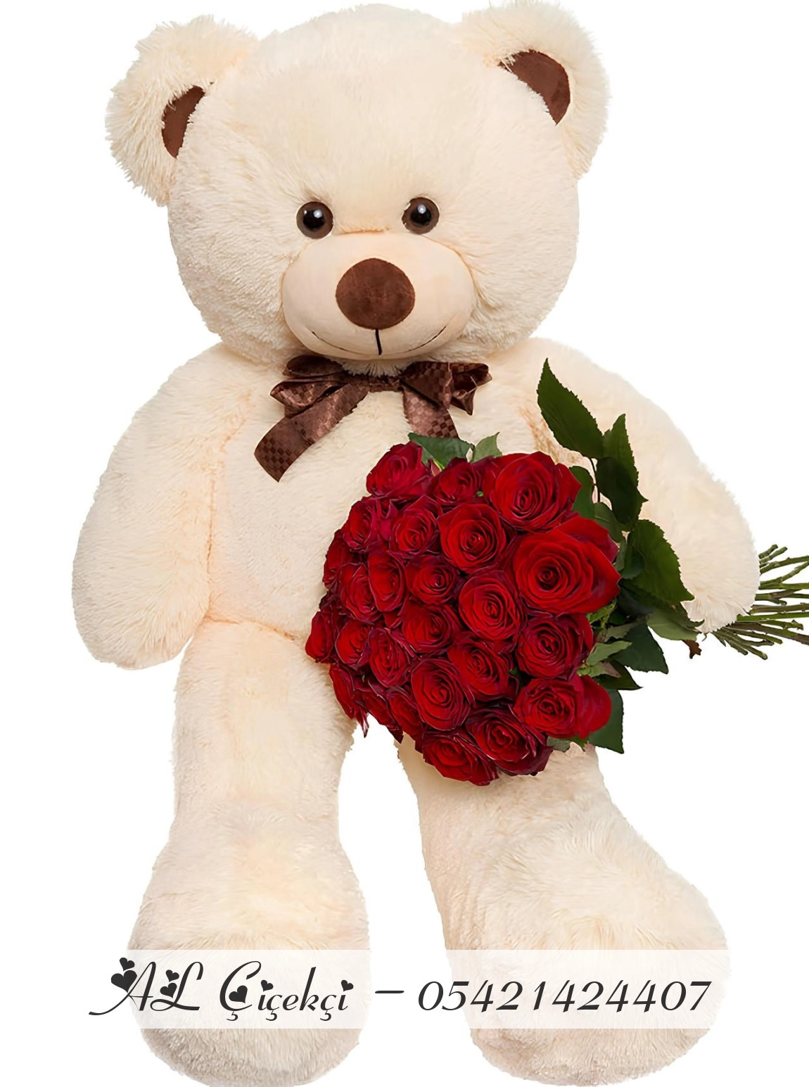 Giant Teddy Bear and 25 Roses