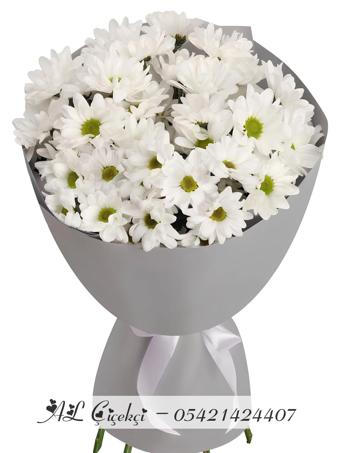 Lumi Grand Daisy