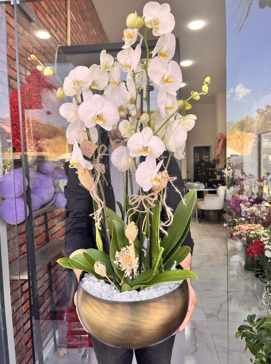 Lumi Imperial Orchid Bowl