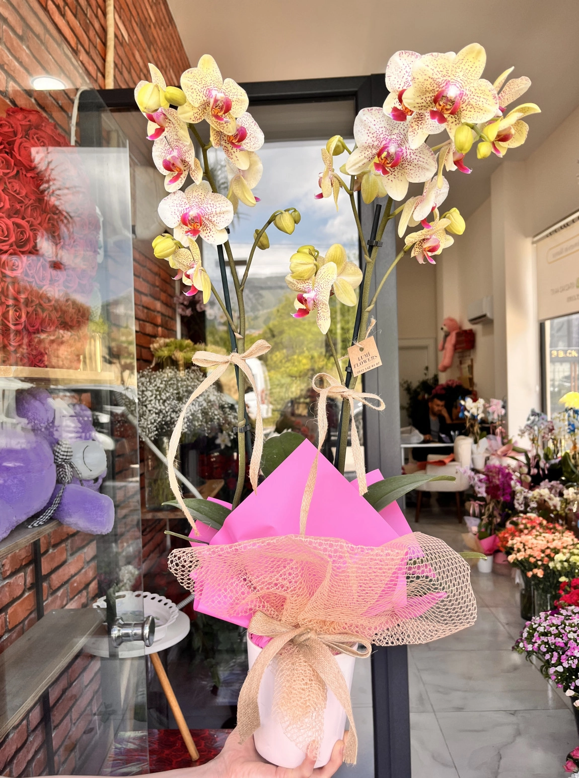 Lumi Luxury Yellow Orchid