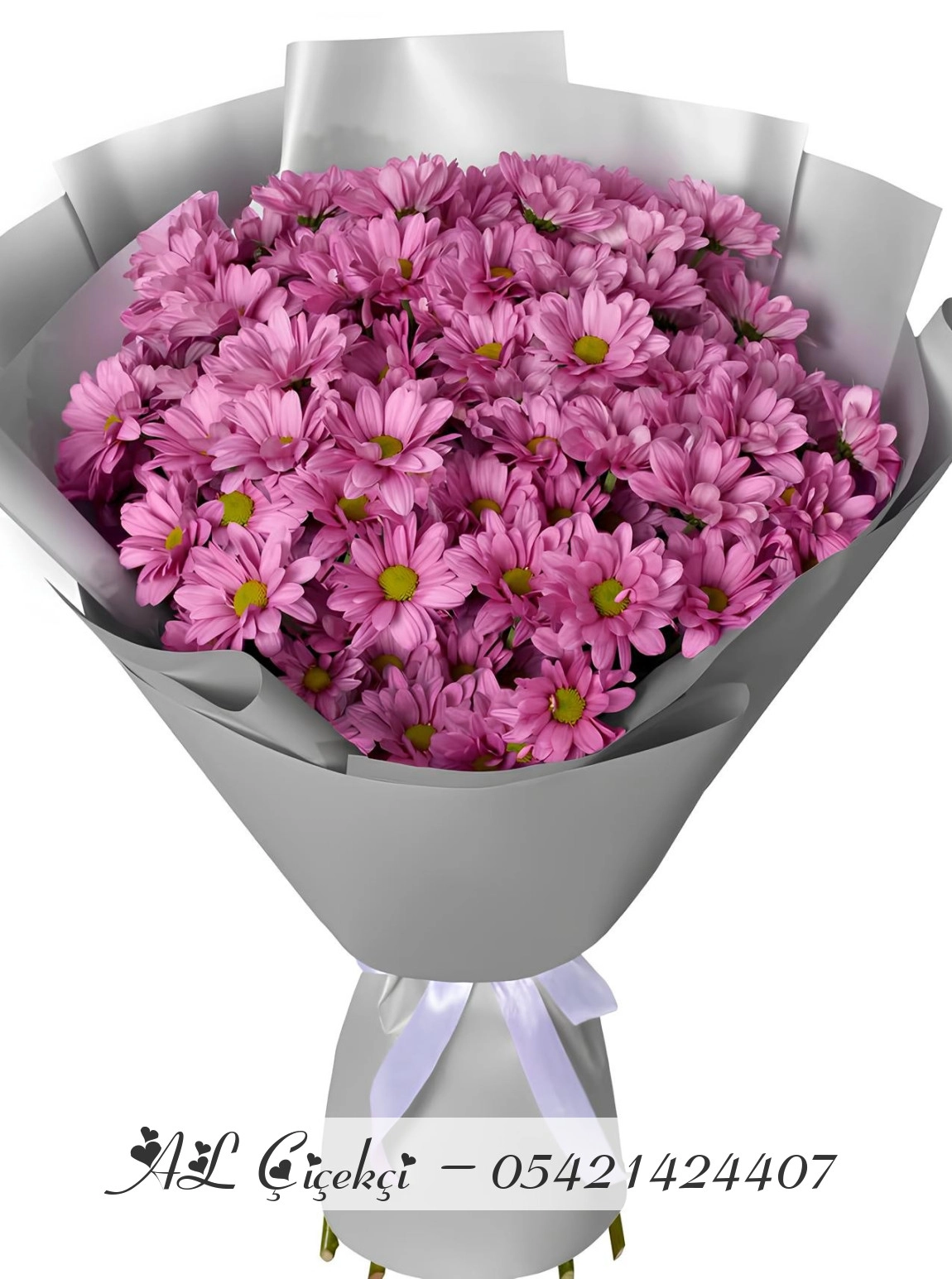 Lumi Purple Chrysanthemum