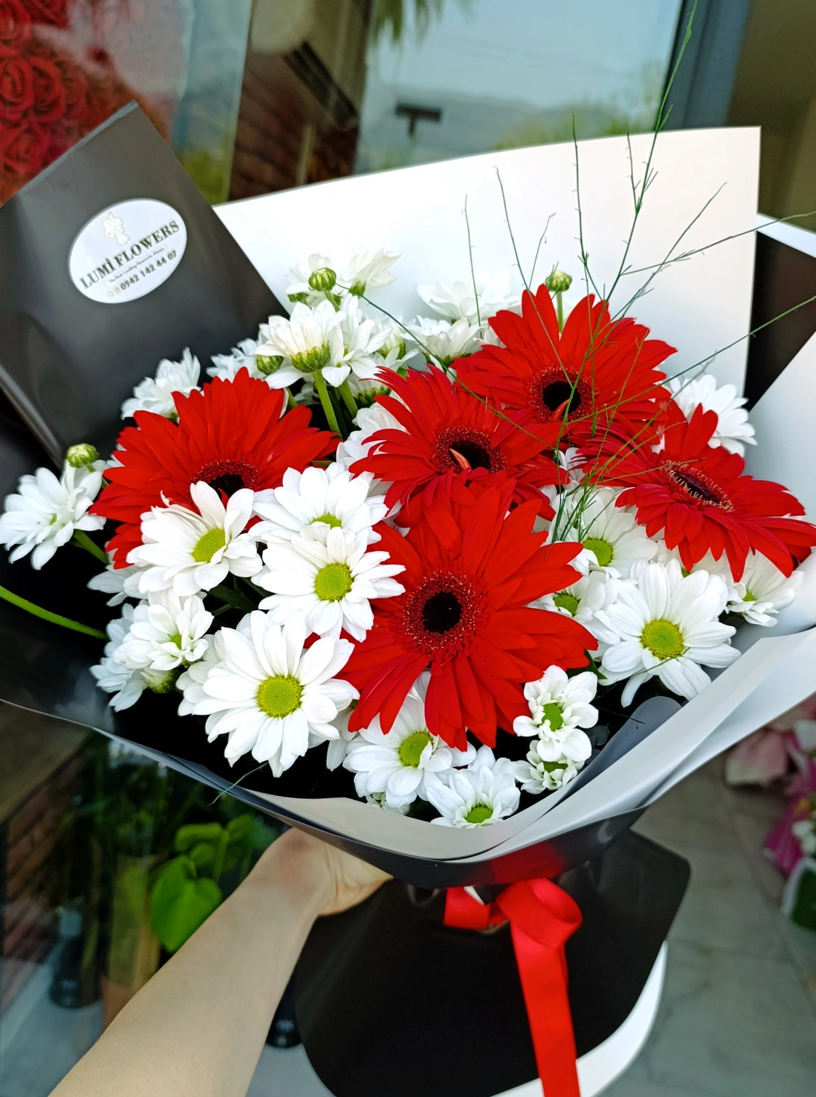 Lumi Red Daisy Glow