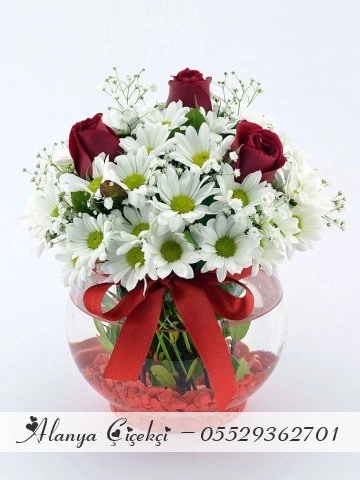 Red Touch – Arrangement of Love and Innocence