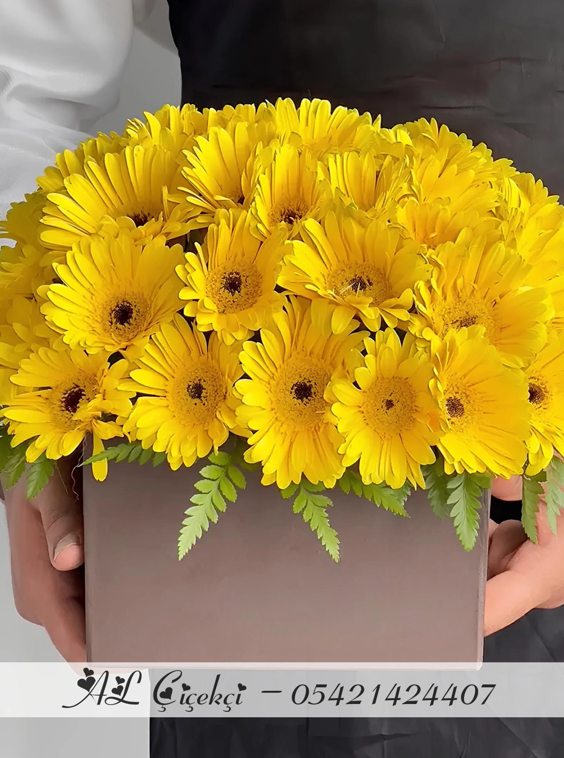 Lumi Yellow Gerbera Box
