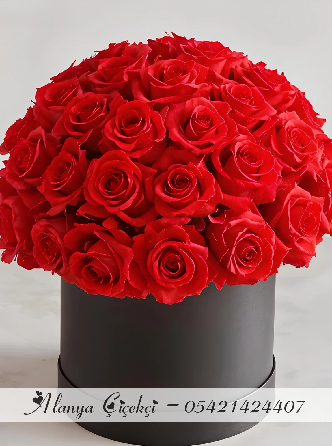 Premium Kutuda 55 Tane Gül