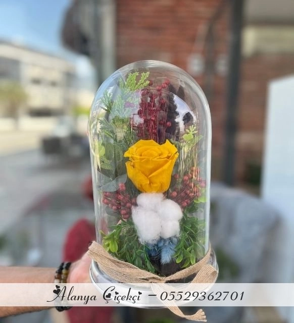 Sarı Solmayan Gül