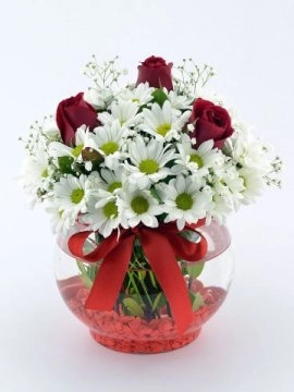 Kırmızı Dokunuş – Aşk Ve Masumiyet Aranjmanı