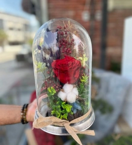 Kırmızı Solmayan Gül