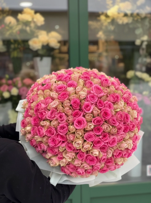 Lumi 301 Royal Roses