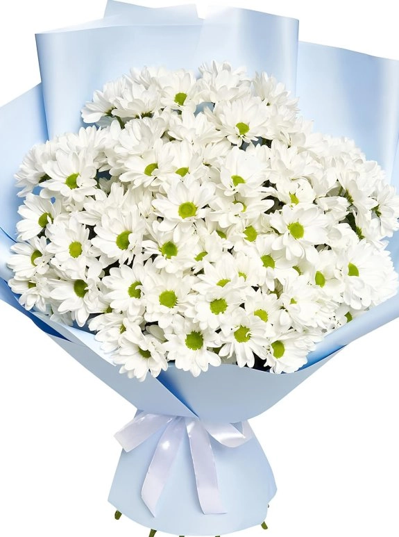 Lumi Daisy Bouquet
