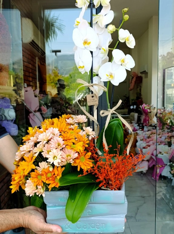 Lumi Elegant Orchid Garden