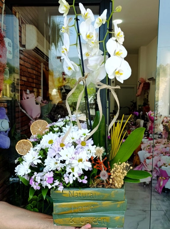 Lumi Natural Orchid Garden
