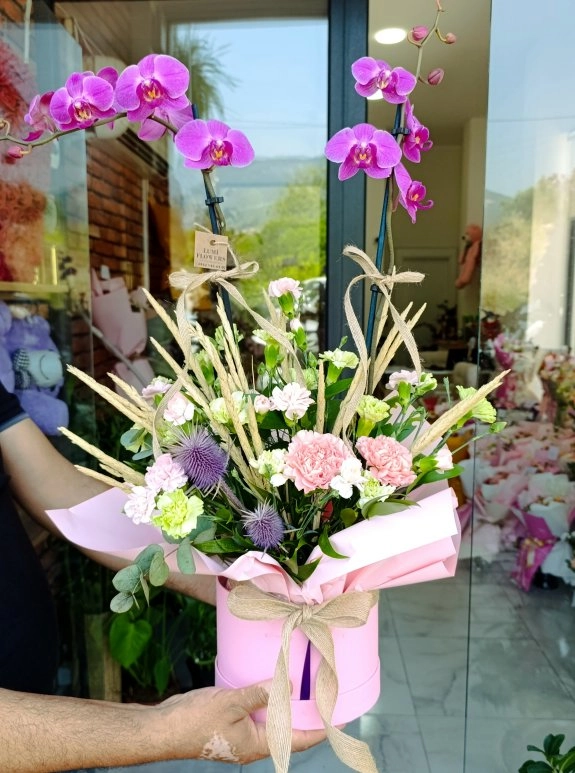 Lumi Natural Orchid Garden