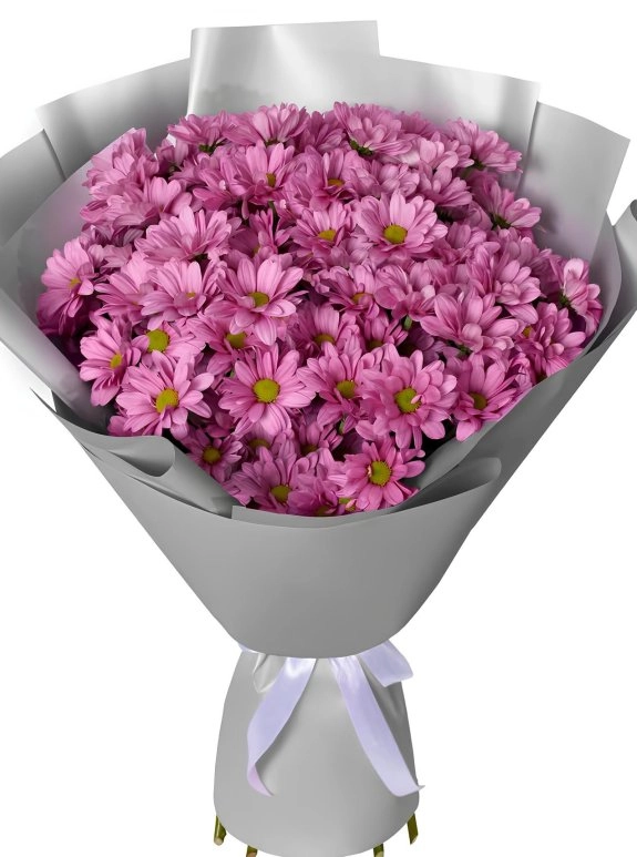 Lumi Purple Chrysanthemum