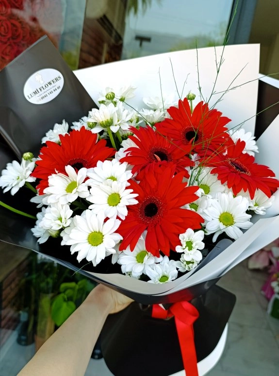 Lumi Red Daisy Glow