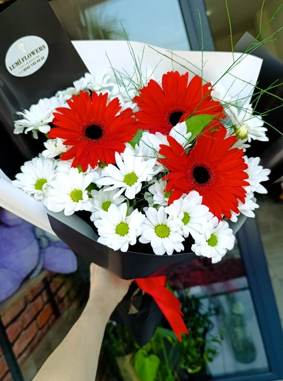 Lumi Red Velvet Daisy